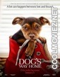 A Dogs Way Home (2019) English Movie