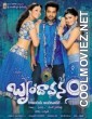 Brindavanam (2010) Hindi Dubbed Movie