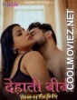 Dehaati Biwi (2024) Part 2 Nazar Original