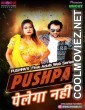 Pushpa Pelega Nahi (2025) MoodX Original