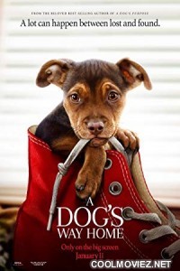 A Dogs Way Home (2019) Hindi Dubbed Movie