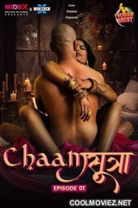 Chaam Sutra (2024) MoodX Original